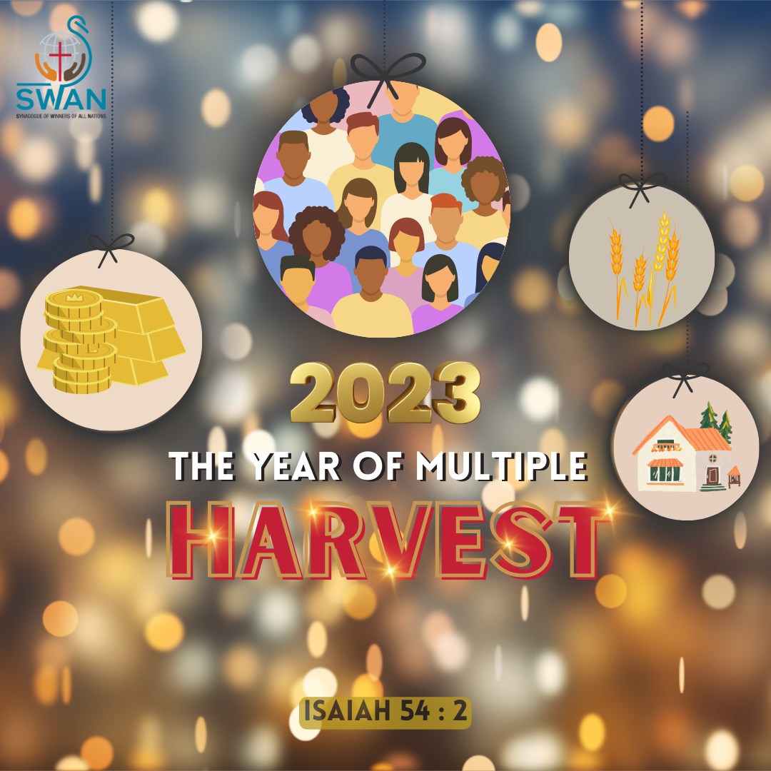 323419845_907613550416229_2365190878997742611_n